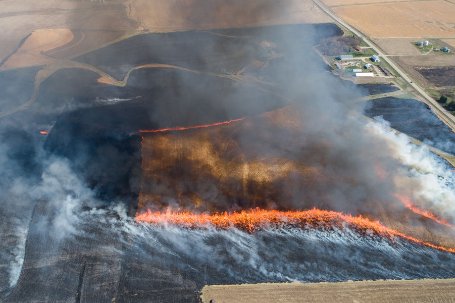 California Wildfires: Everything you need to know